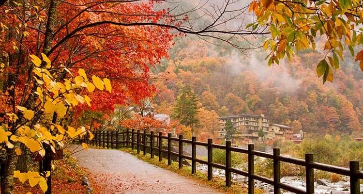 پرامپت عکس پاییزی- زیباترین عکسهای پاییزی ترند
